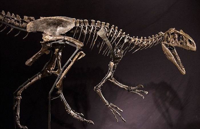 恐龙灭绝的谜团已被科学家解开了,科学家找到了恐龙灭绝的真正原因