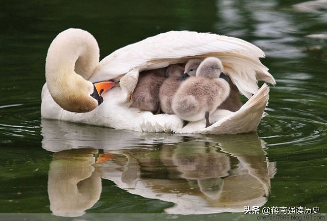 时光流逝岁月不饶人老照片,时光一去不复返再来一张老照片