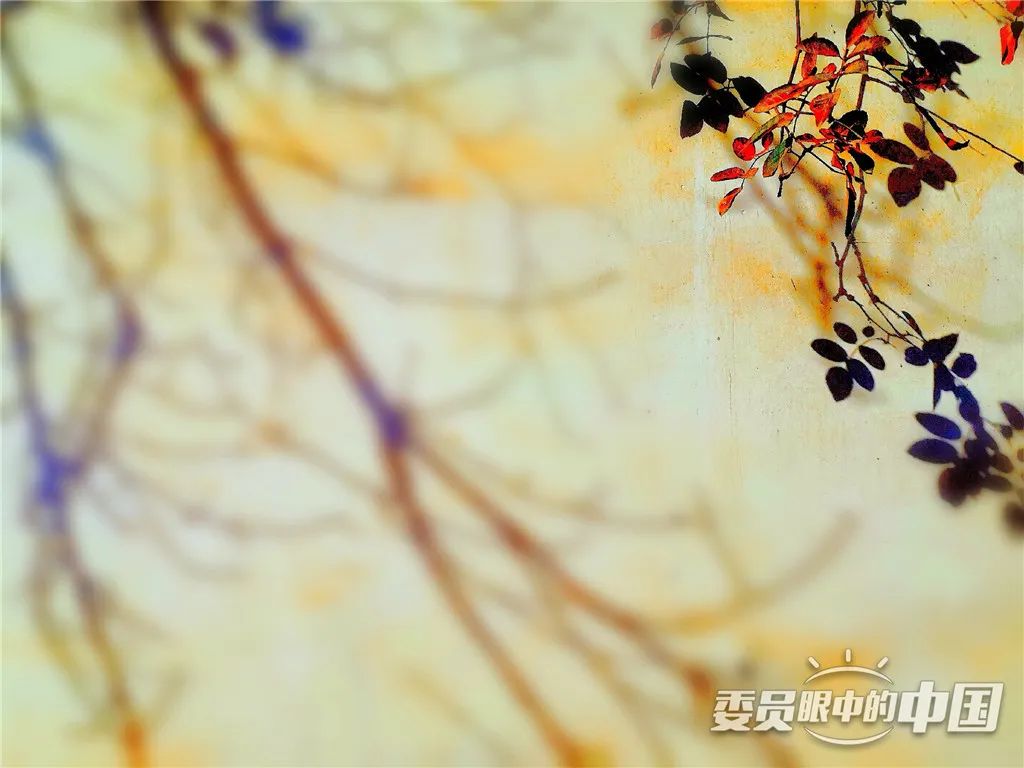 美丽中国中国篇,美丽中国双碳有我主题范文800字