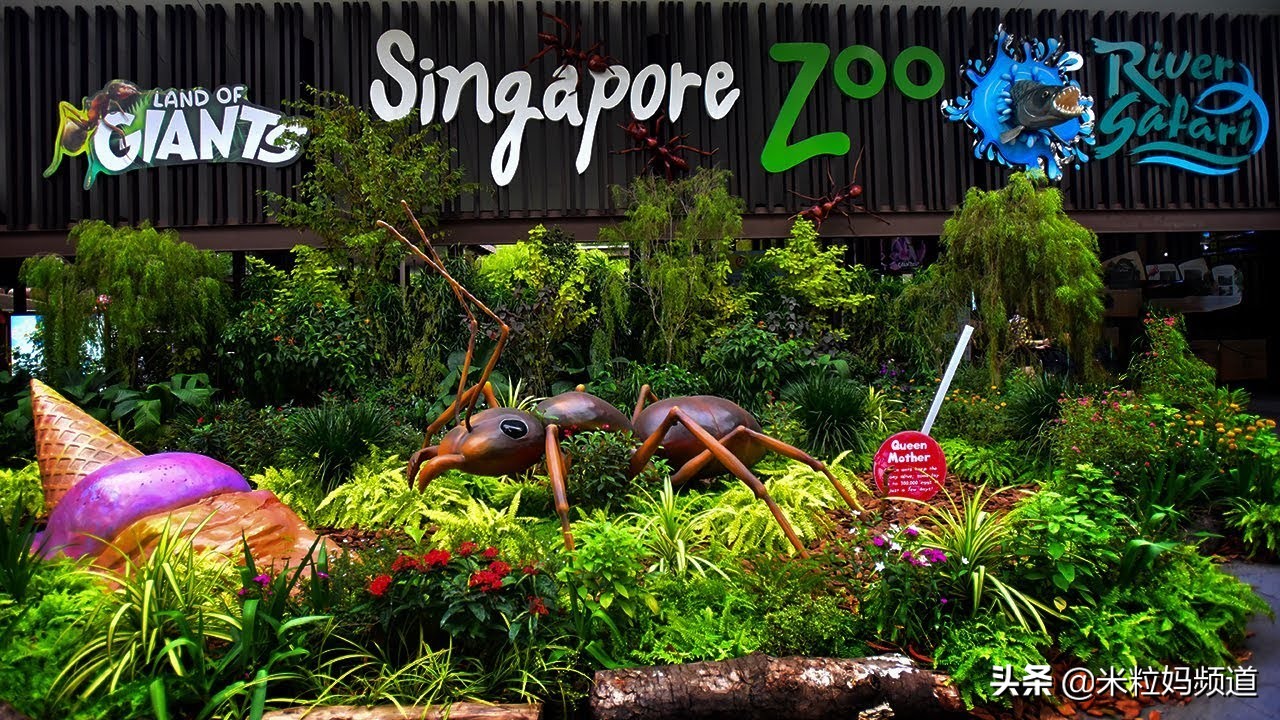 新加坡遛娃旅游攻略,新加坡亲子游遛娃神器