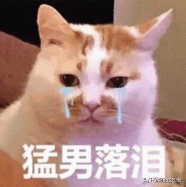 这部日式纯爱电影也太重口了,这部日本纯爱电影每一帧都苏炸了