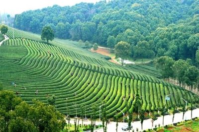 荆州石首哪个镇最好,湖北石首最北部的镇