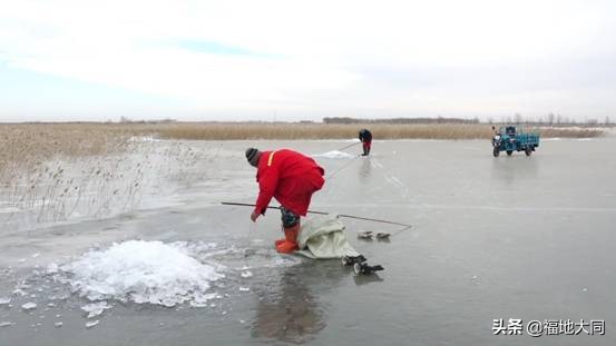 双胜村锣鼓秧歌表演,大庆双胜村新闻