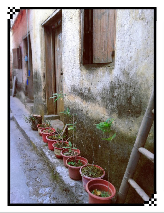 山清水净鸟语花香,广州从化山水田园旅游