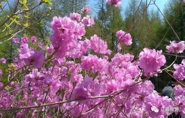 辽源周游旅游攻略,周游辽源