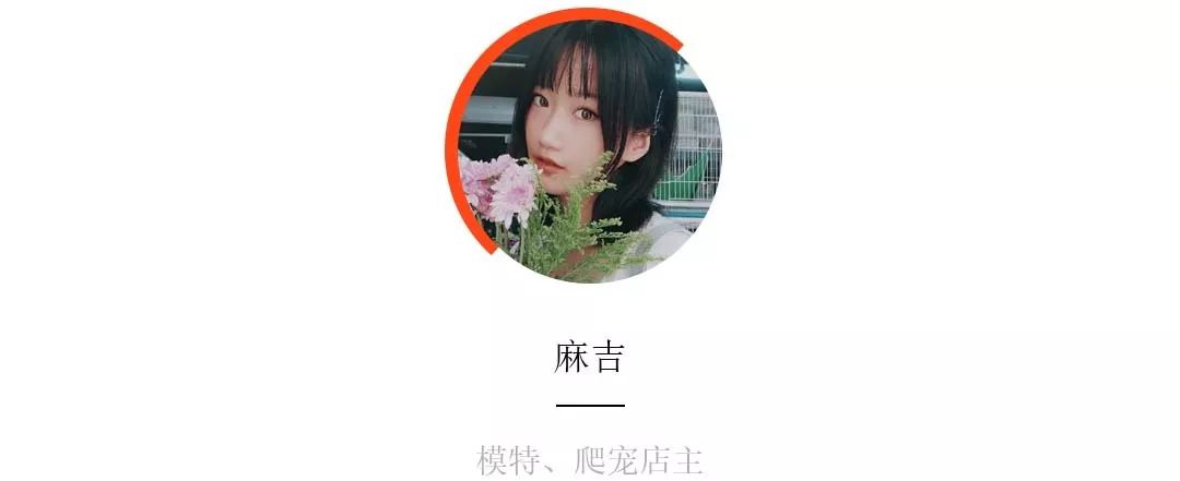 一只鸭子一万五元,一只鸭子一万多