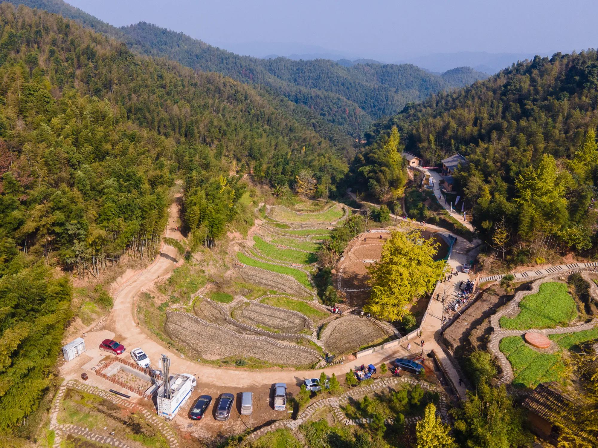 高岭古村银杏,高岭乡高岭村