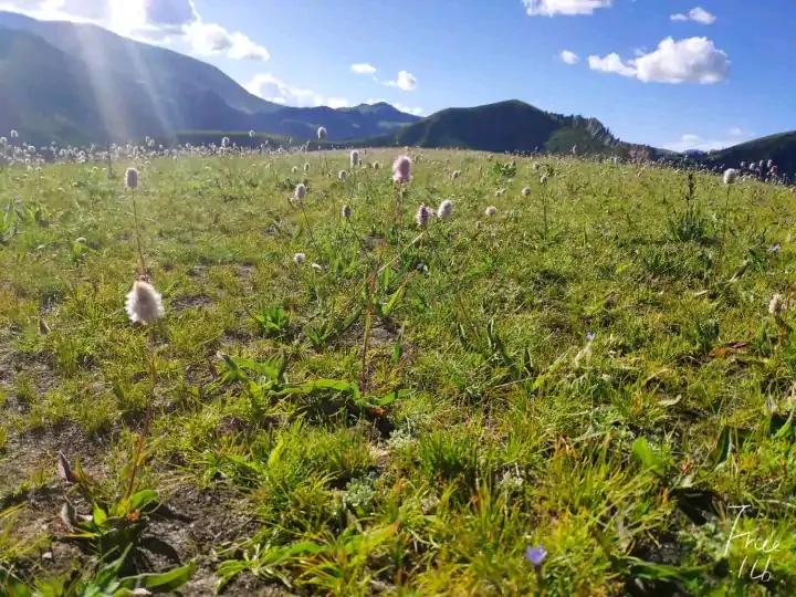 你能想象到吗,藏族支教的真实生活