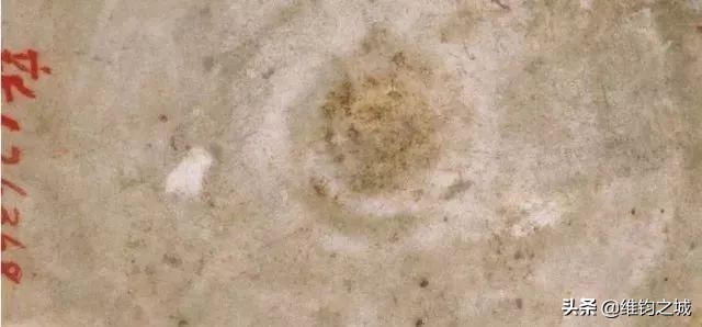 鉴别元青花瓷器15个绝招,元青花鉴定与收藏