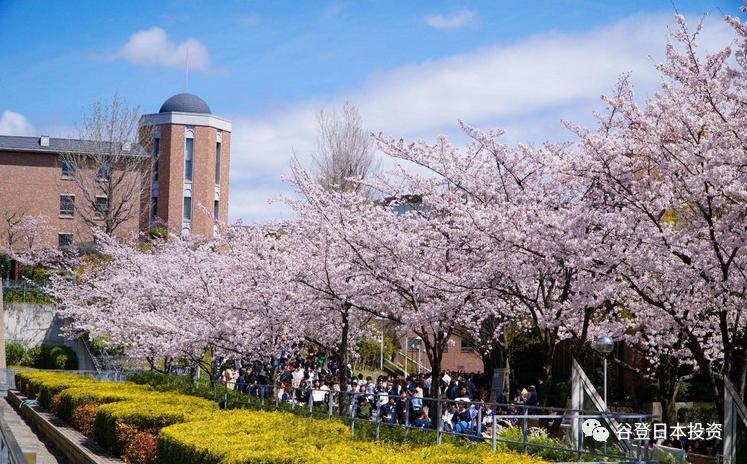 2018日本留学签证申请流程详解,史上最强日本留学签证攻略大汇总