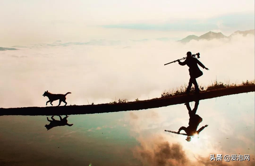 南方最适合自驾游的地方美爆了,江南十大最美自驾游路线