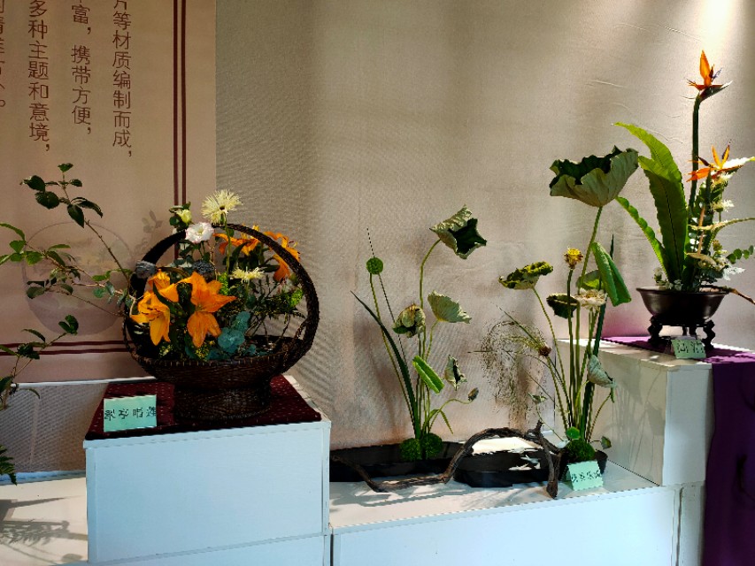 厦门园博苑月环,厦门园博苑免费政策