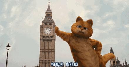 五一节小长假去哪儿,五一小长假去哪儿离福宝还近