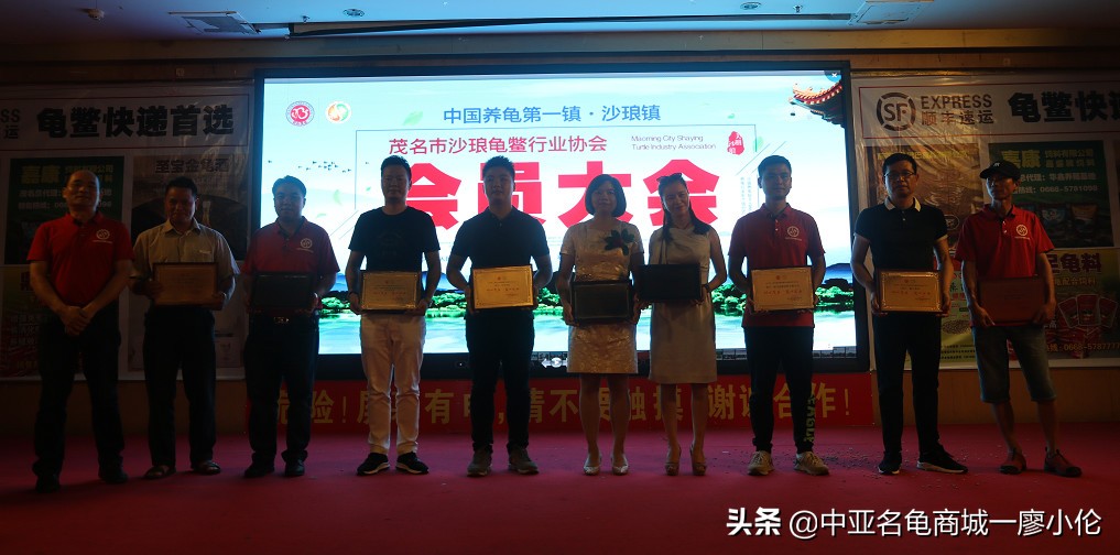 沙琅龟协会,沙琅乌龟协会