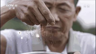 世界美食之都澳门,世界美食之都顺德煮绿豆沙