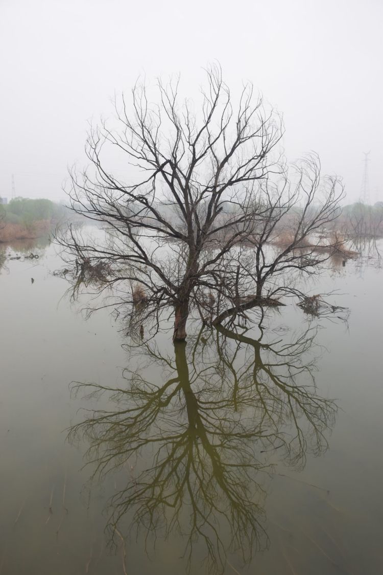 陕西印象装饰有限公司,陕西印象传媒怎么样