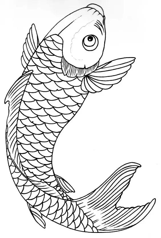转运锦鲤简笔画,简笔画100种锦鲤图片
