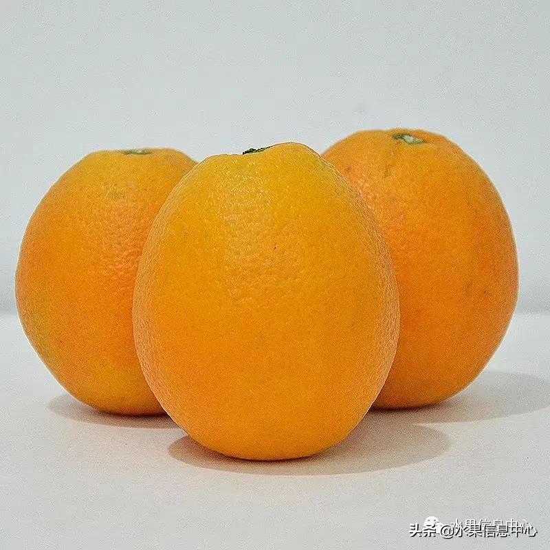 最好的橙子产地在哪里,中国橙子产地排名