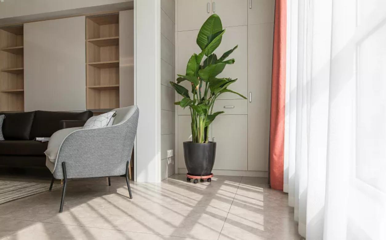 老公坚持装4米长电视柜，沙发墙“加厚”35公分，完工都夸他机智