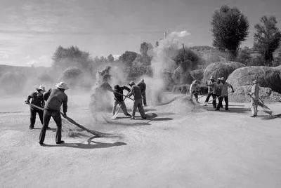 7080后的童年课文回忆视频,70后80后学过的课文