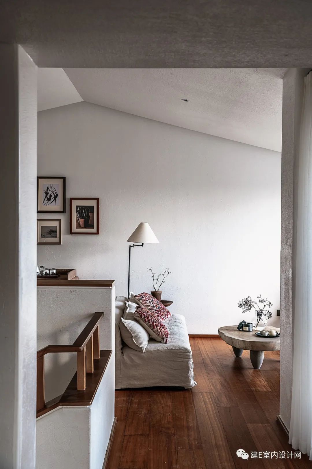 乘风破浪谢柯,谢柯个人简历