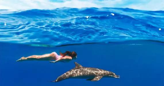 菲律宾旅游攻略最详细介绍,菲律宾游玩最全攻略