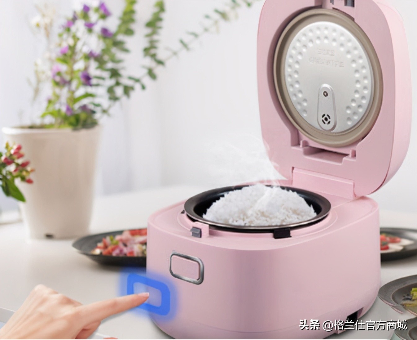 ih电饭煲是低糖电饭煲吗,小米ih电饭煲399和999有什么区别