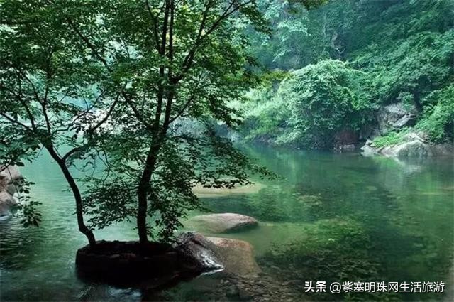 蓟县梨木台畅心园农家院,蓟县梨木台清真农家院