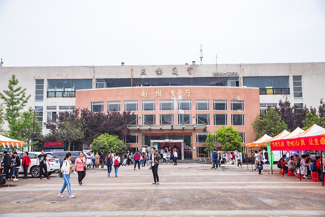 武科大算什么档次,武科大属于什么水平