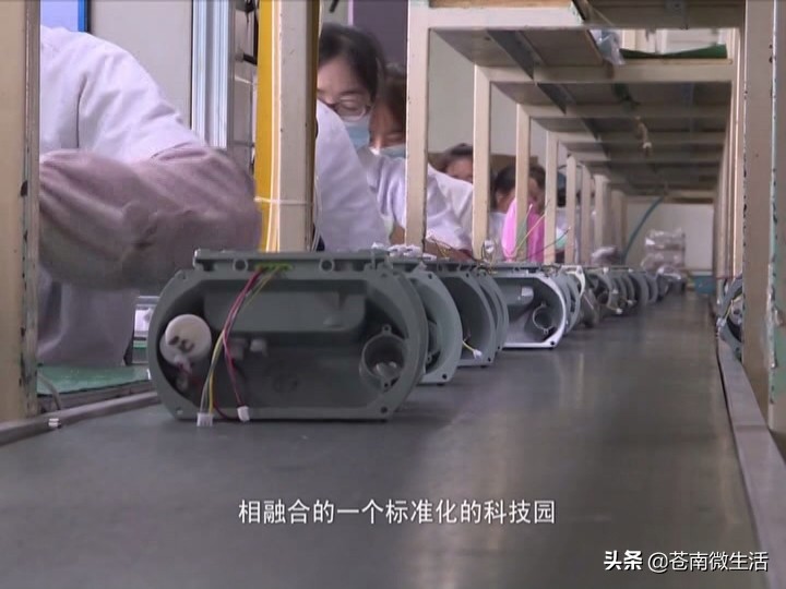 苍南仪表集团科技园,苍南仪表厂简介