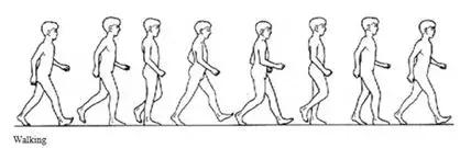 腘绳肌拉伤二级拉伤,腘绳肌拉伤如何判断是肌腱拉伤