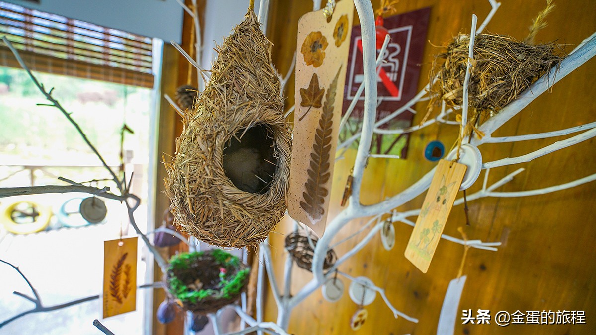 苏州旅游沙家浜,人人都知江南好下一句