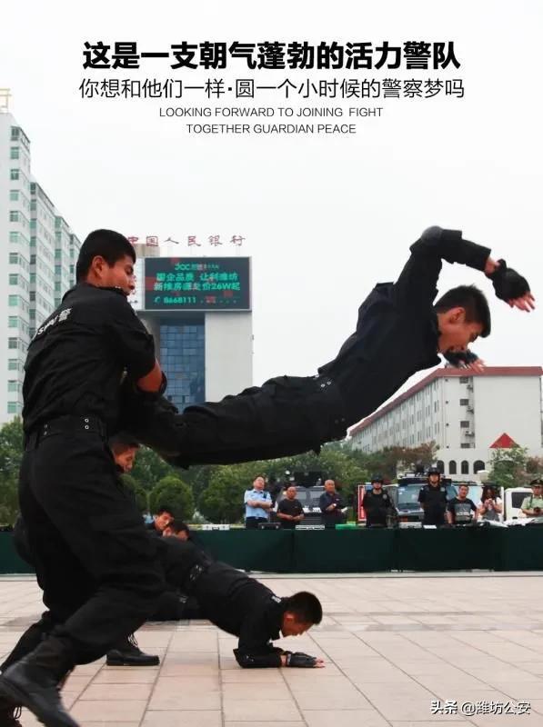 等你加入海报,潍坊奎文特巡警大队