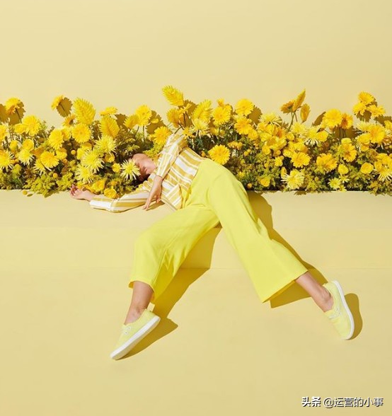 allbirds是什么牌子中文怎么叫,allbirds中文名字叫什么