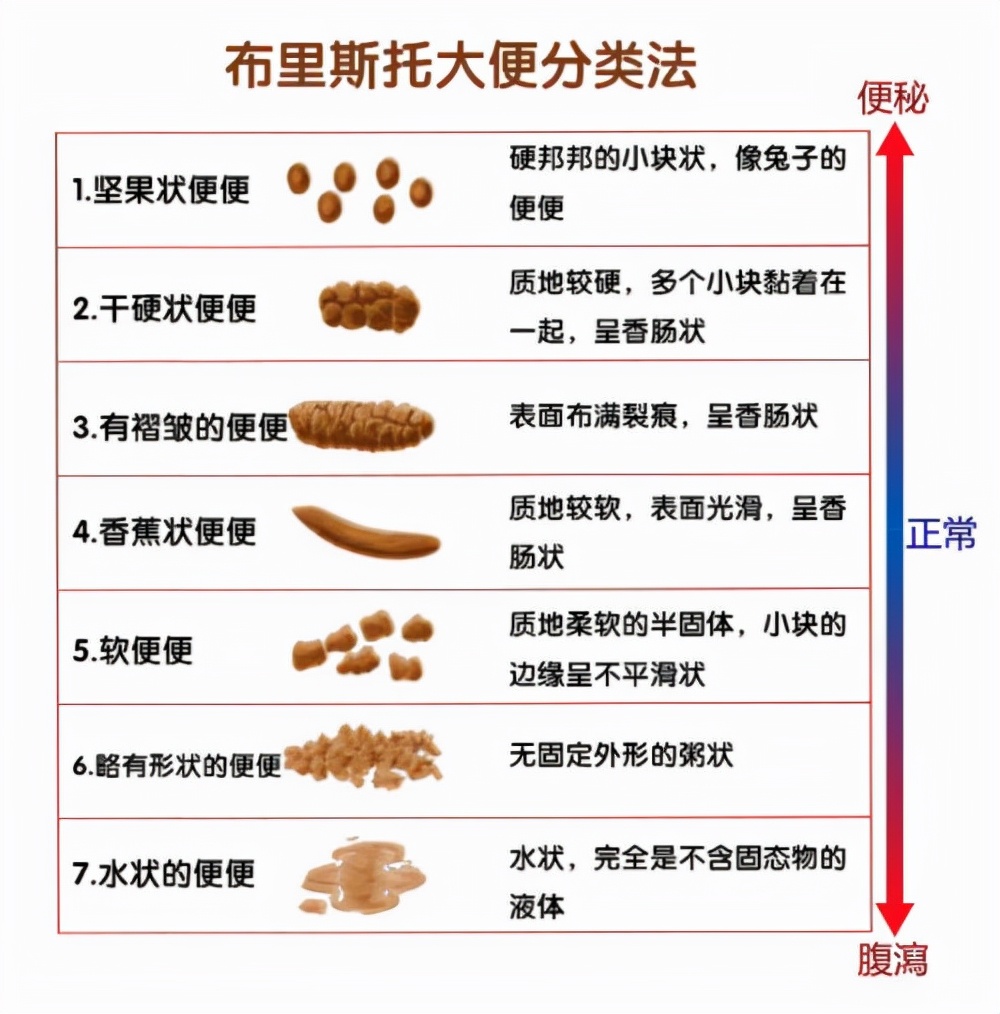 拉出大便为什么是扁的,大便拉出来是扁的是怎么回事
