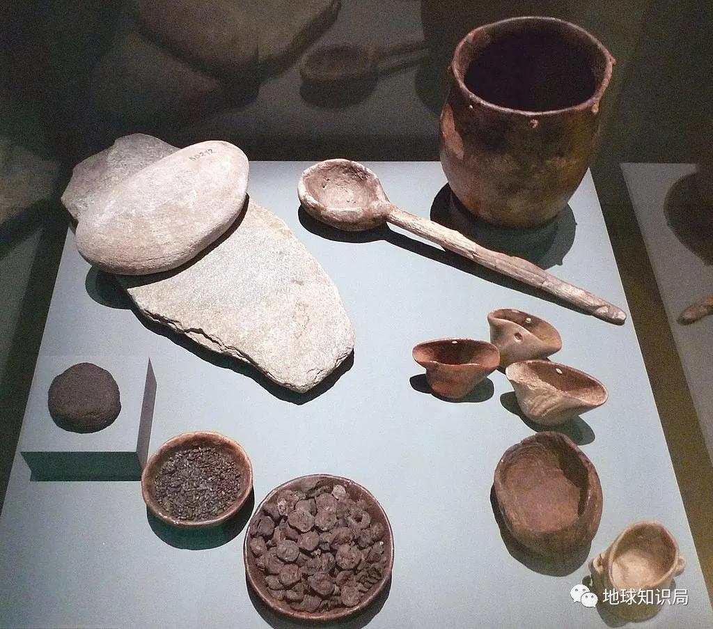 正宗朝鲜烀大块狗肉方法,朝鲜狗肉