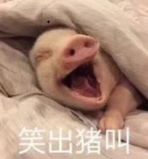 天津话说相声,天津话魔性rap