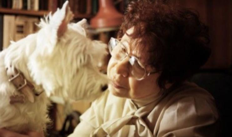 什么都能治的宠物医生,了不起的宠物医生观后感