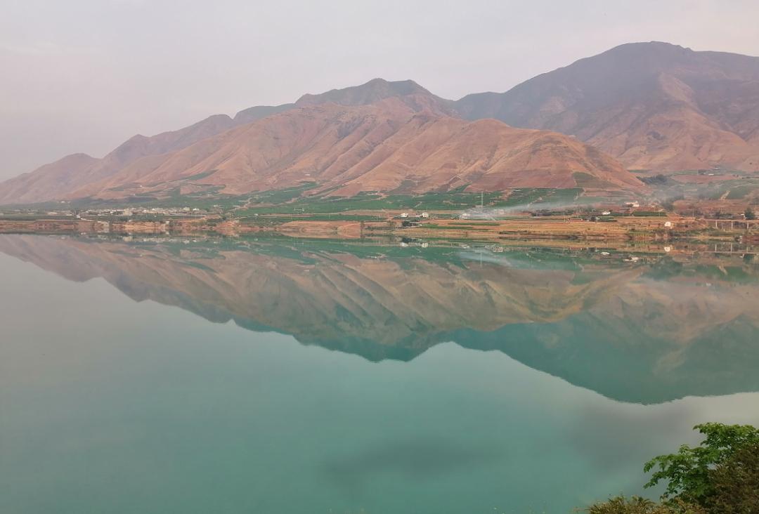 8月份最早上市水果,8月初成熟新品种桃