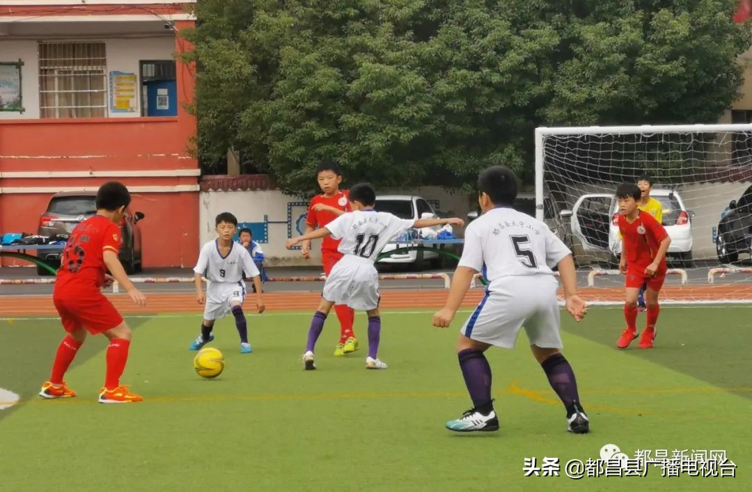 都昌第五届蒲公英杯,蒲公英杯第五届都昌县