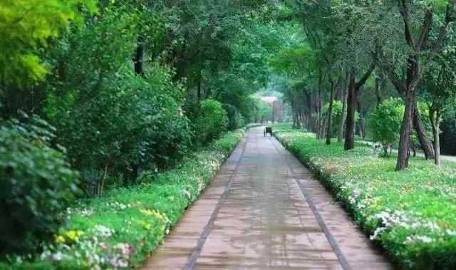 未来的天津,未来的天津市河西区