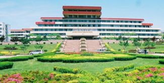 青岛大学2019就业质量情况