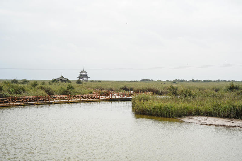 山东周边游2天1夜小众,5.1山东五日游