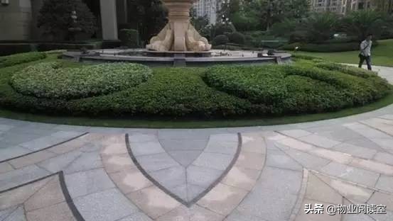 小区绿化日常养护工作内容,小区绿化养护多少钱一个平方