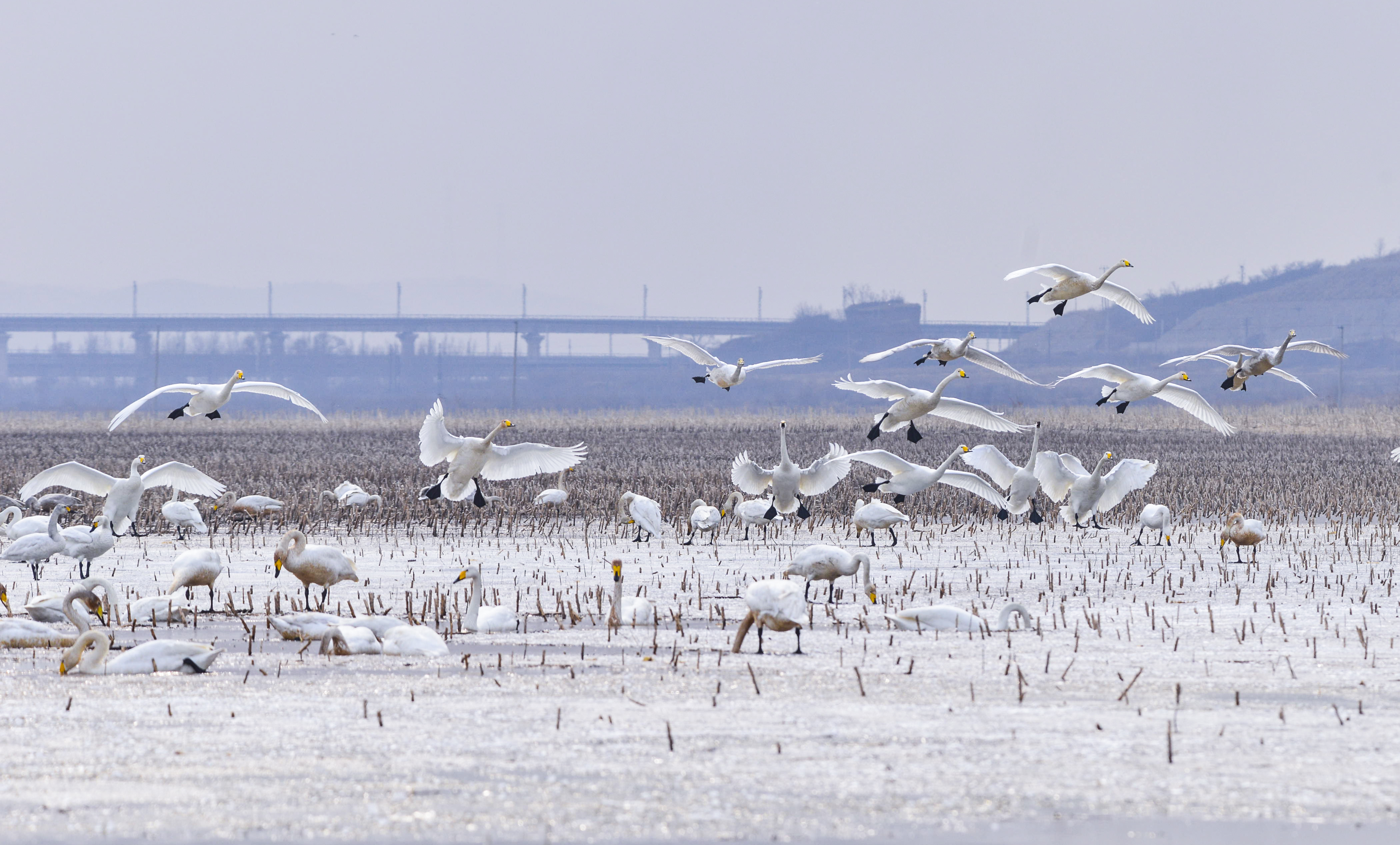 辽西旅游必去十大景点,辽宁朝阳风景区排名前十