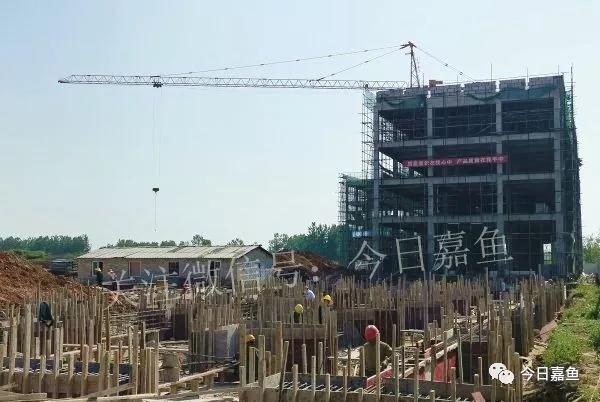 华中物流中心嘉鱼建设,华中嘉鱼最新规划