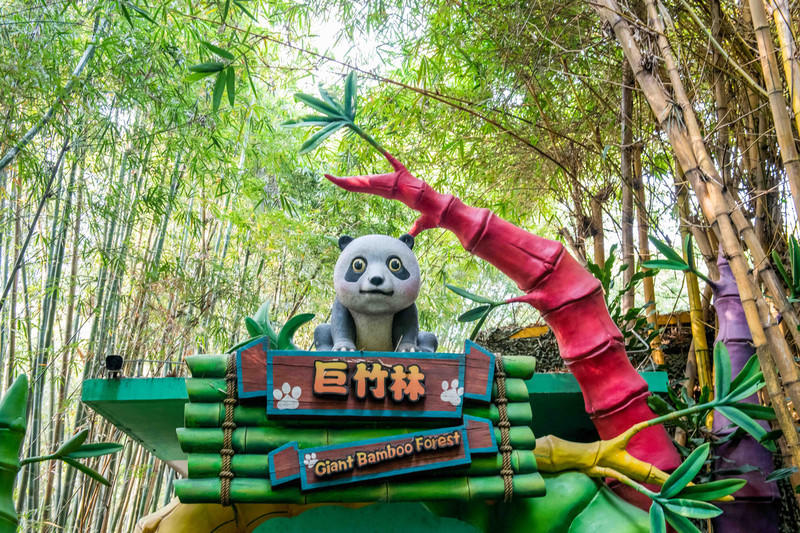 广州长隆野生动物世界旅游攻略,长隆野生动物世界攻略2-3天广州游