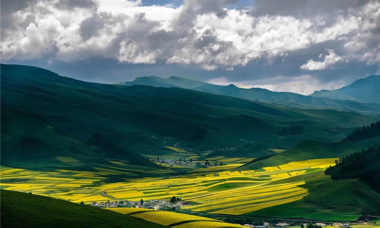 赏油菜花攻略,寻找最美油菜花可去这十大景点