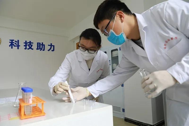 【基层动态】埇桥|公益诉讼:快速检测实验室上线“发威”!