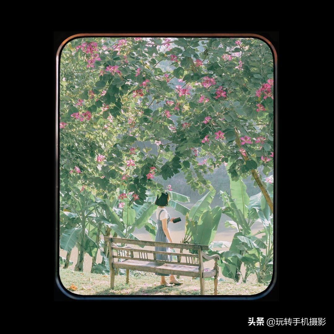 今年错过的春天，这些摄影app全给安排上了